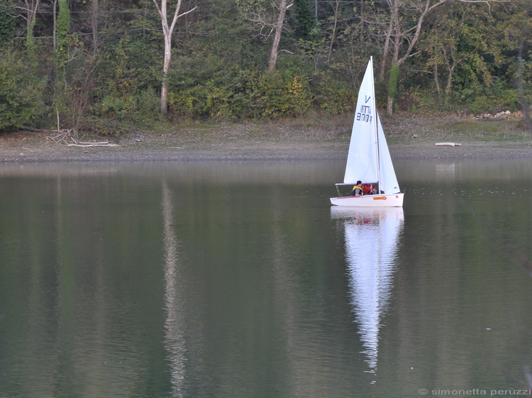 Galerina? (cfr. Hypholoma ericaeum)